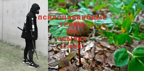гашик Бронницы