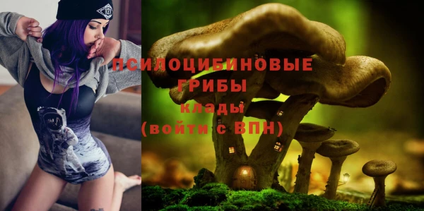 ALPHA PVP Верхнеуральск