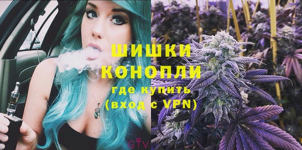 гашик Бронницы