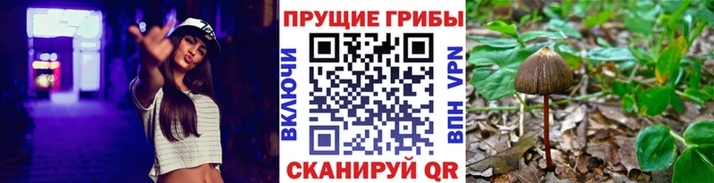 mega как войти Петушки Галлюциногенные грибы MAGIC MUSHROOMS хочу